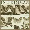 In i dimman - Katatonisk Trans - Single